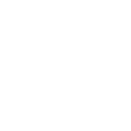 footerPhone
